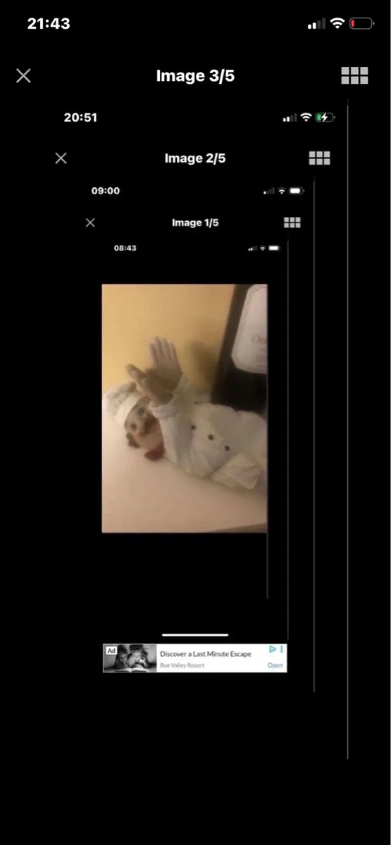 Chef Wine Holder - Image 3