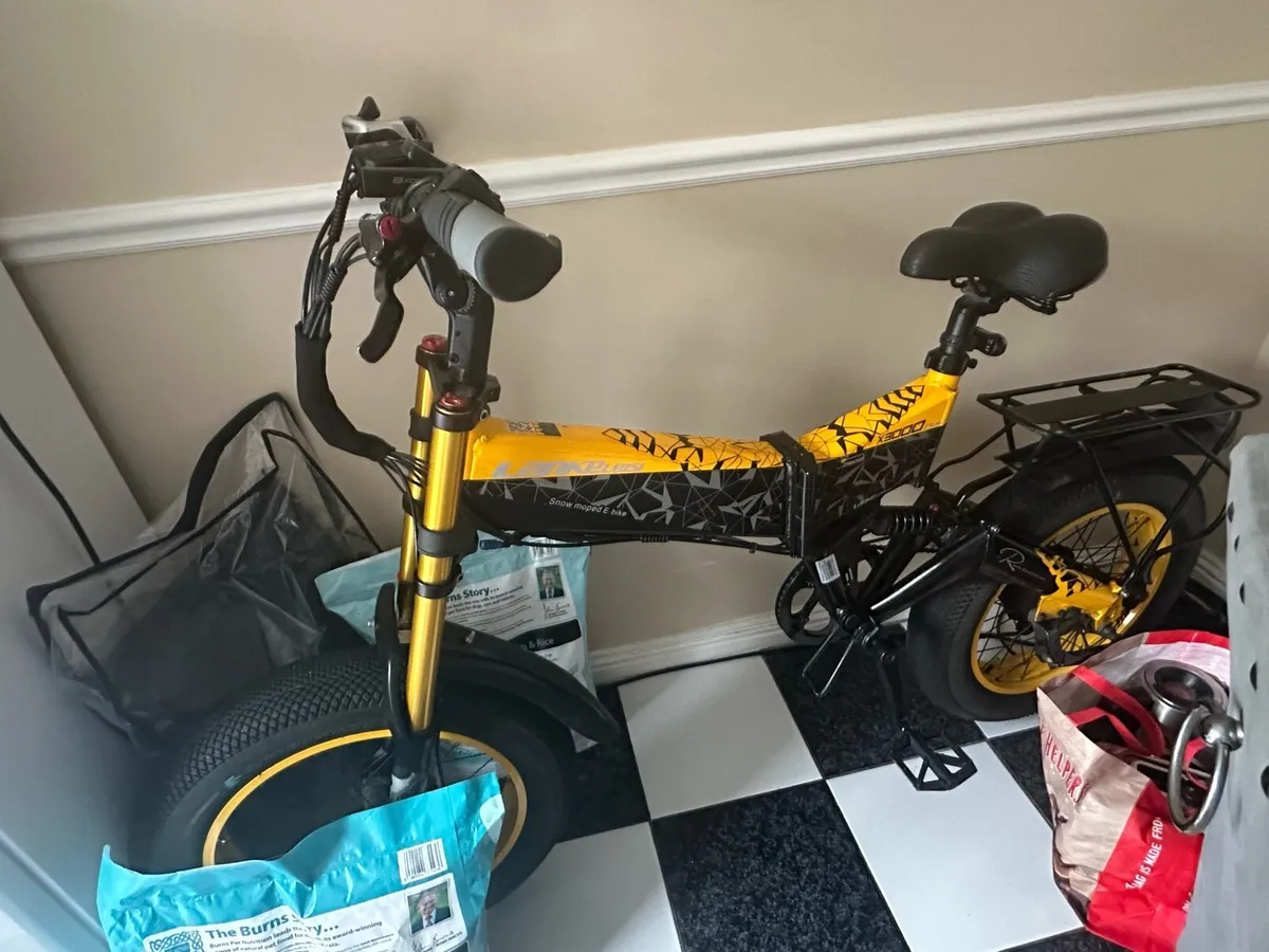 Electric bike - Image 1