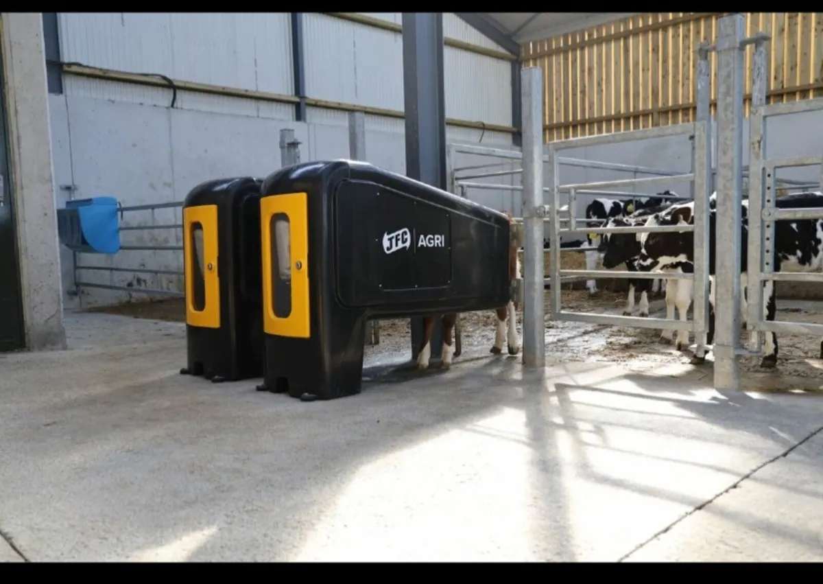 Calf feeder