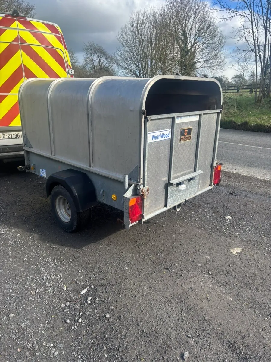 Ifor Williams sheep trailer - Image 2
