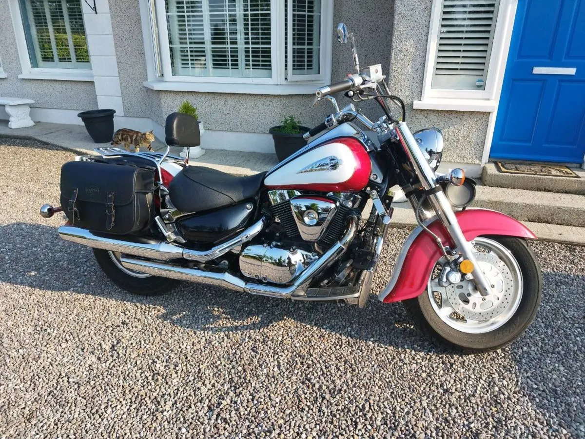 Suzuki VL1500LC Intruder, American Import - Image 4