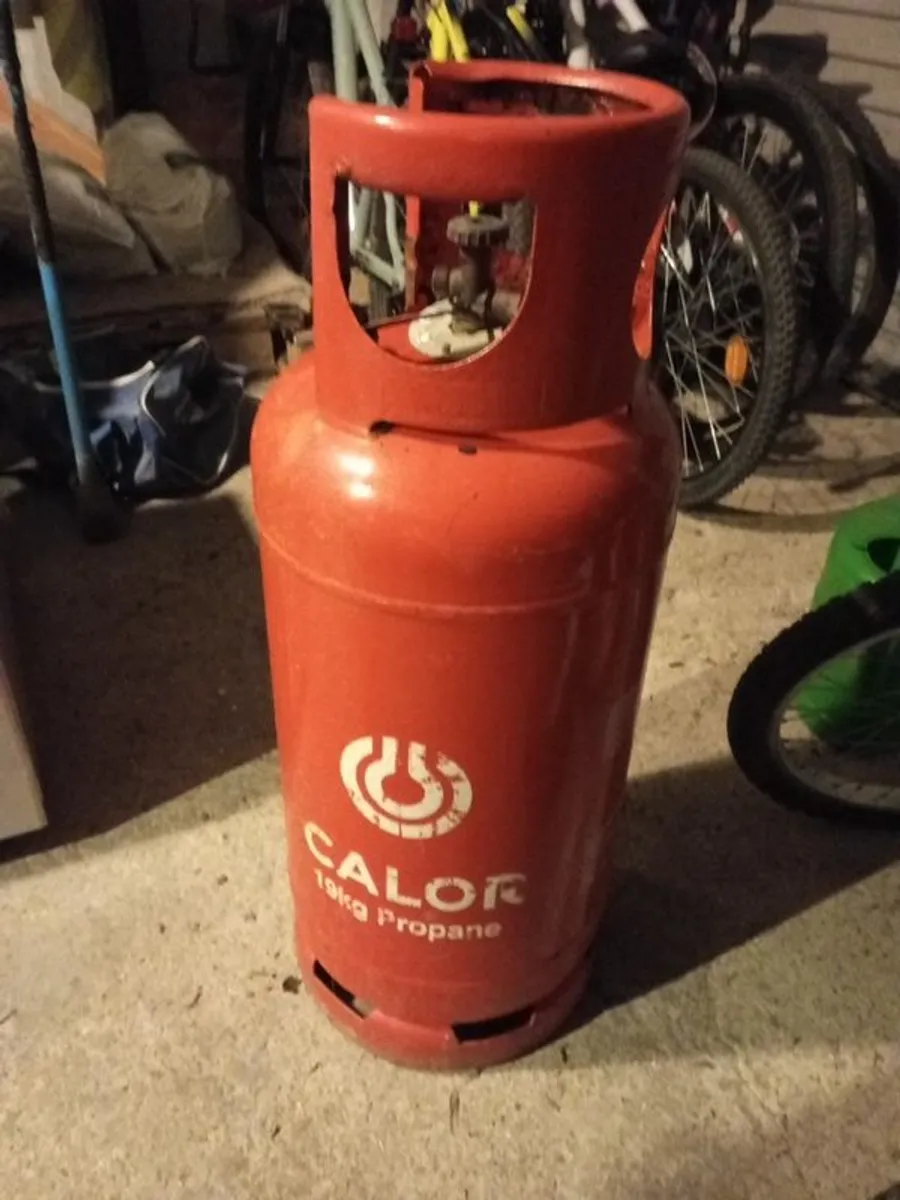 EMPTY 19kg propane tank - Image 1