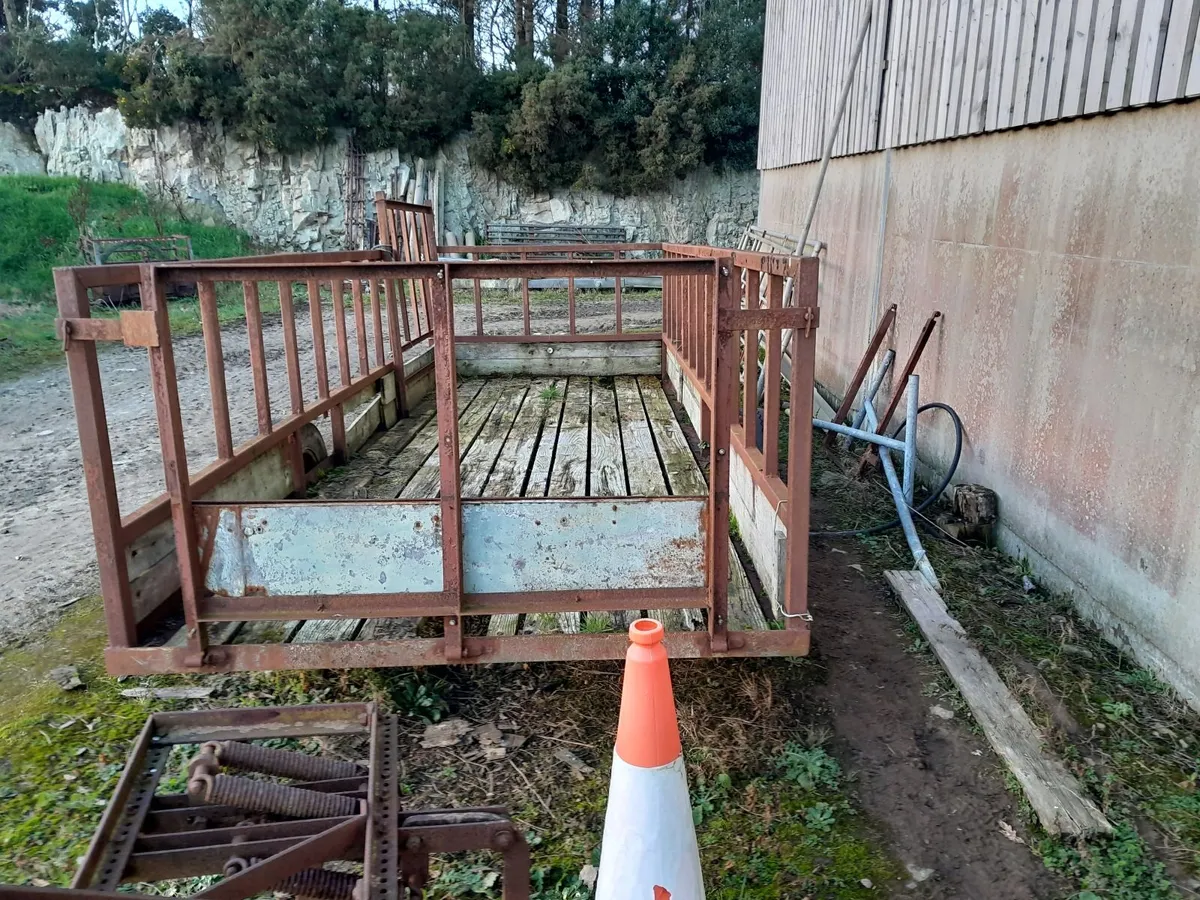 Cattle Feeding Trailer - Image 2