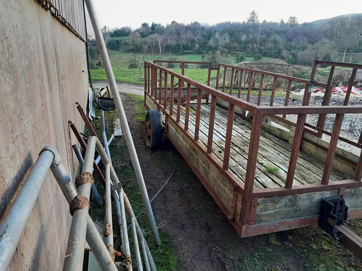 Cattle Feeding Trailer - Image 1
