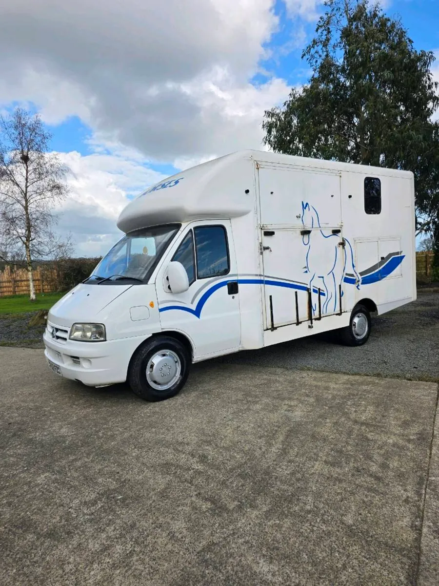 CITROEN RELAY HORSE TRUCK - Image 1