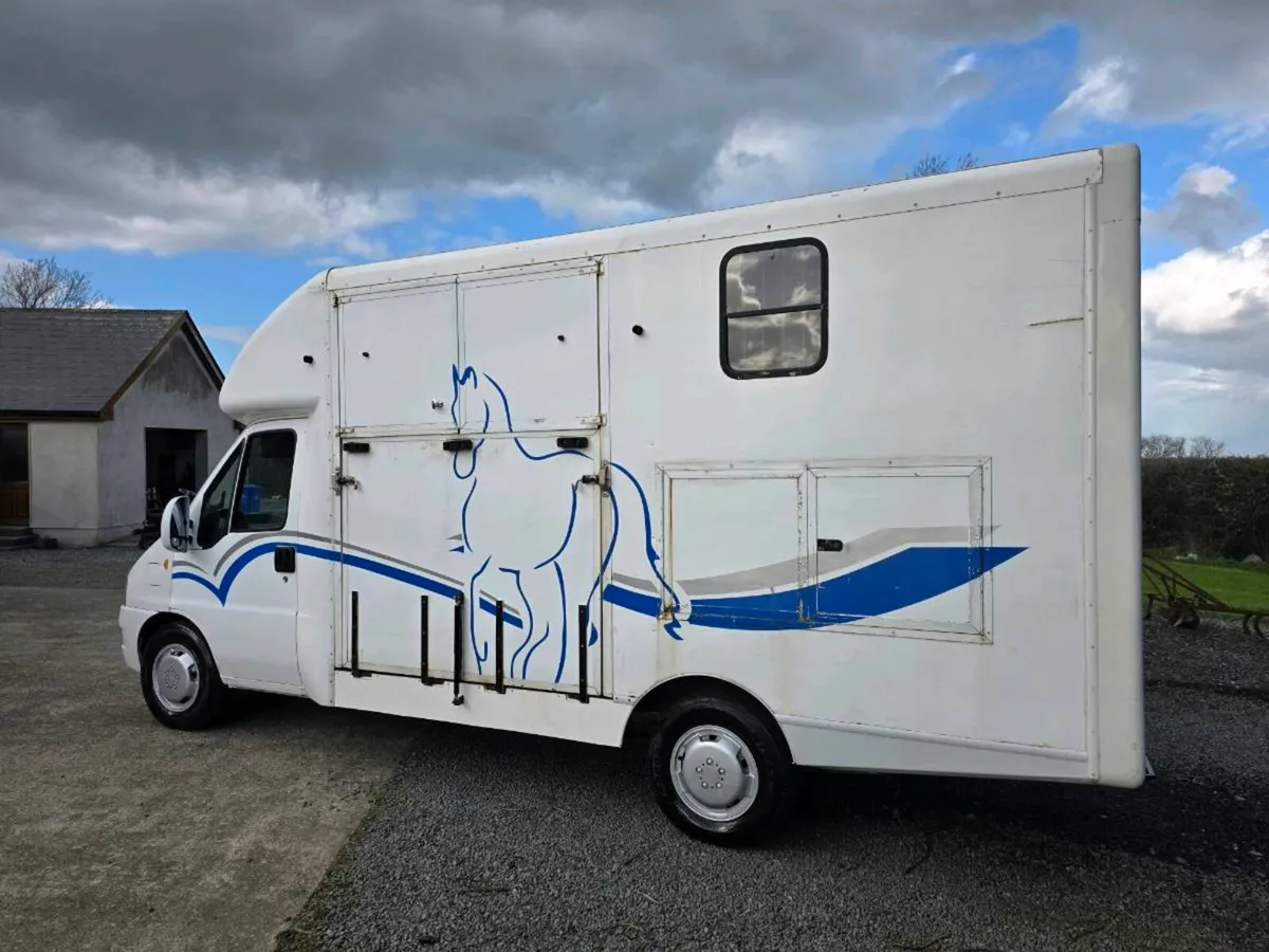 CITROEN RELAY HORSE TRUCK - Image 2
