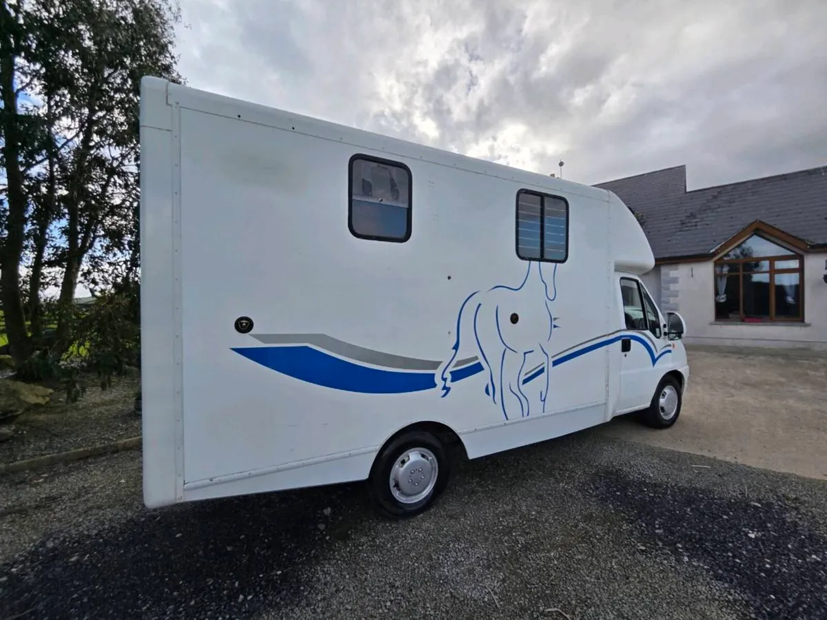 CITROEN RELAY HORSE TRUCK - Image 3
