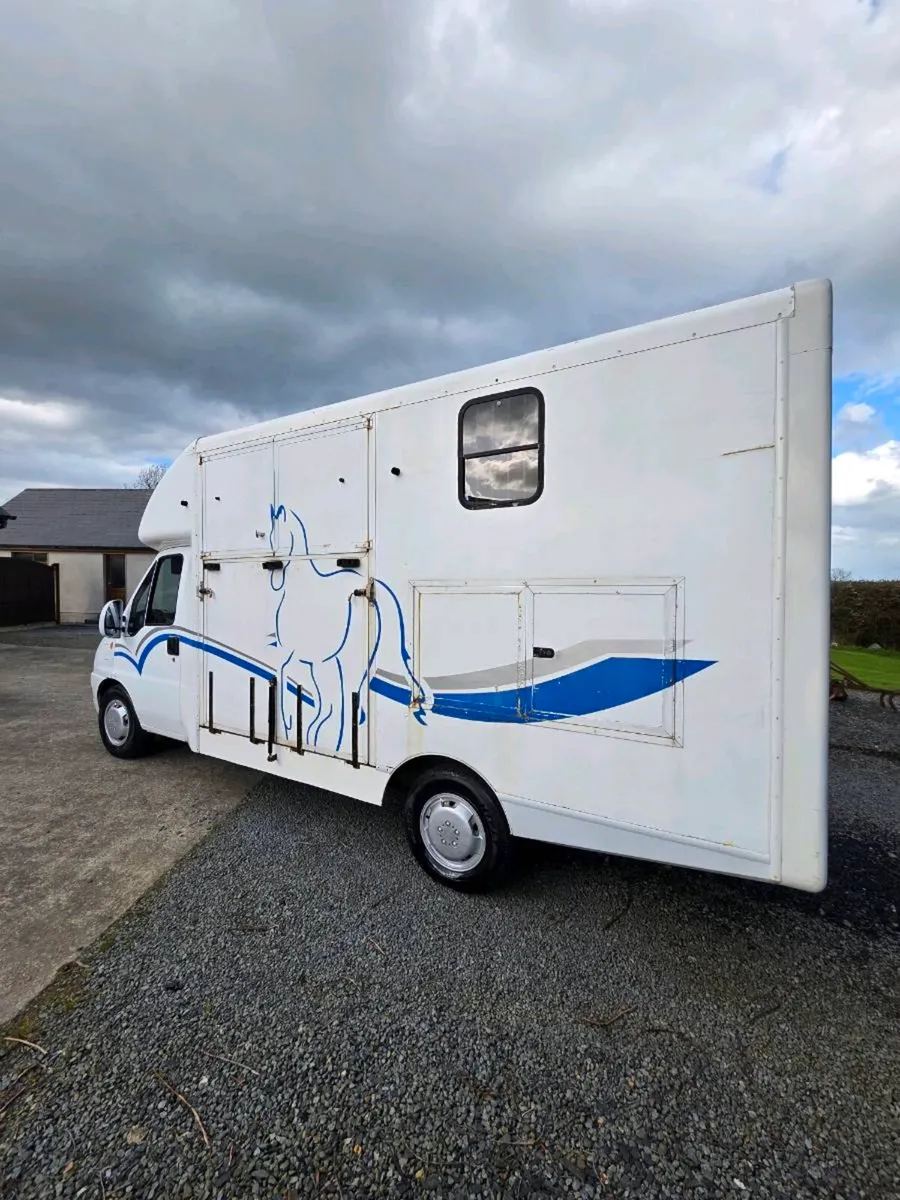 CITROEN RELAY HORSE TRUCK - Image 4