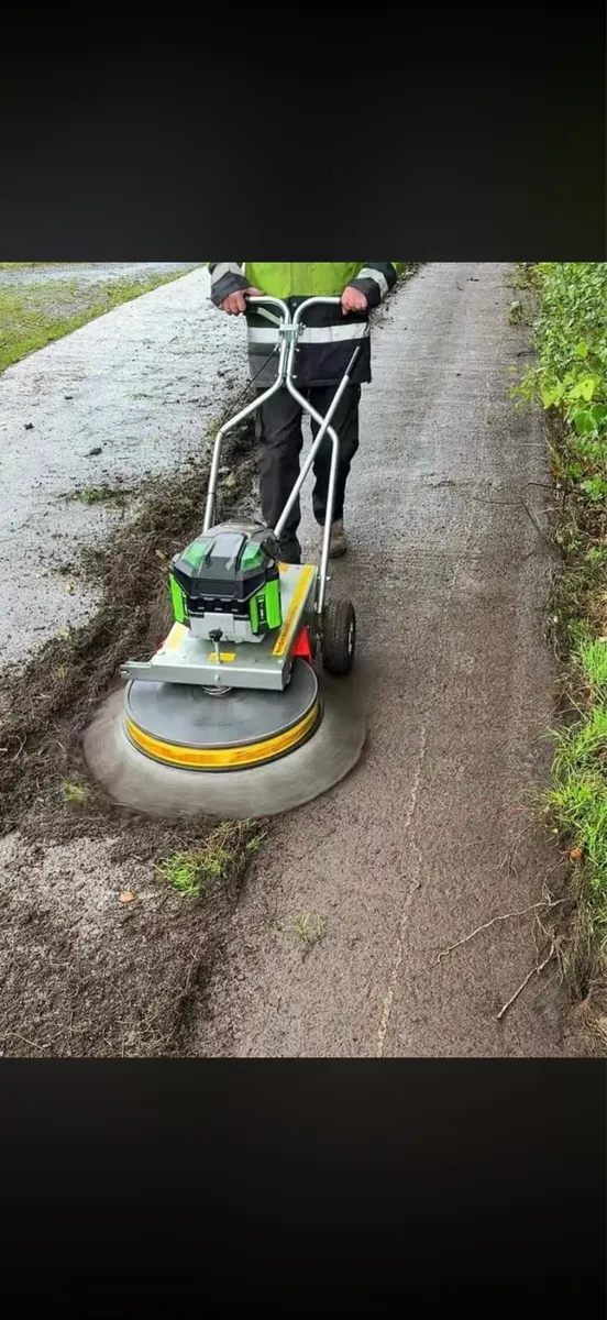 Driveway Moss & Weed Removal Galway - Image 3
