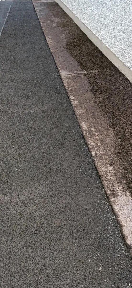 Driveway Moss & Weed Removal Galway - Image 4
