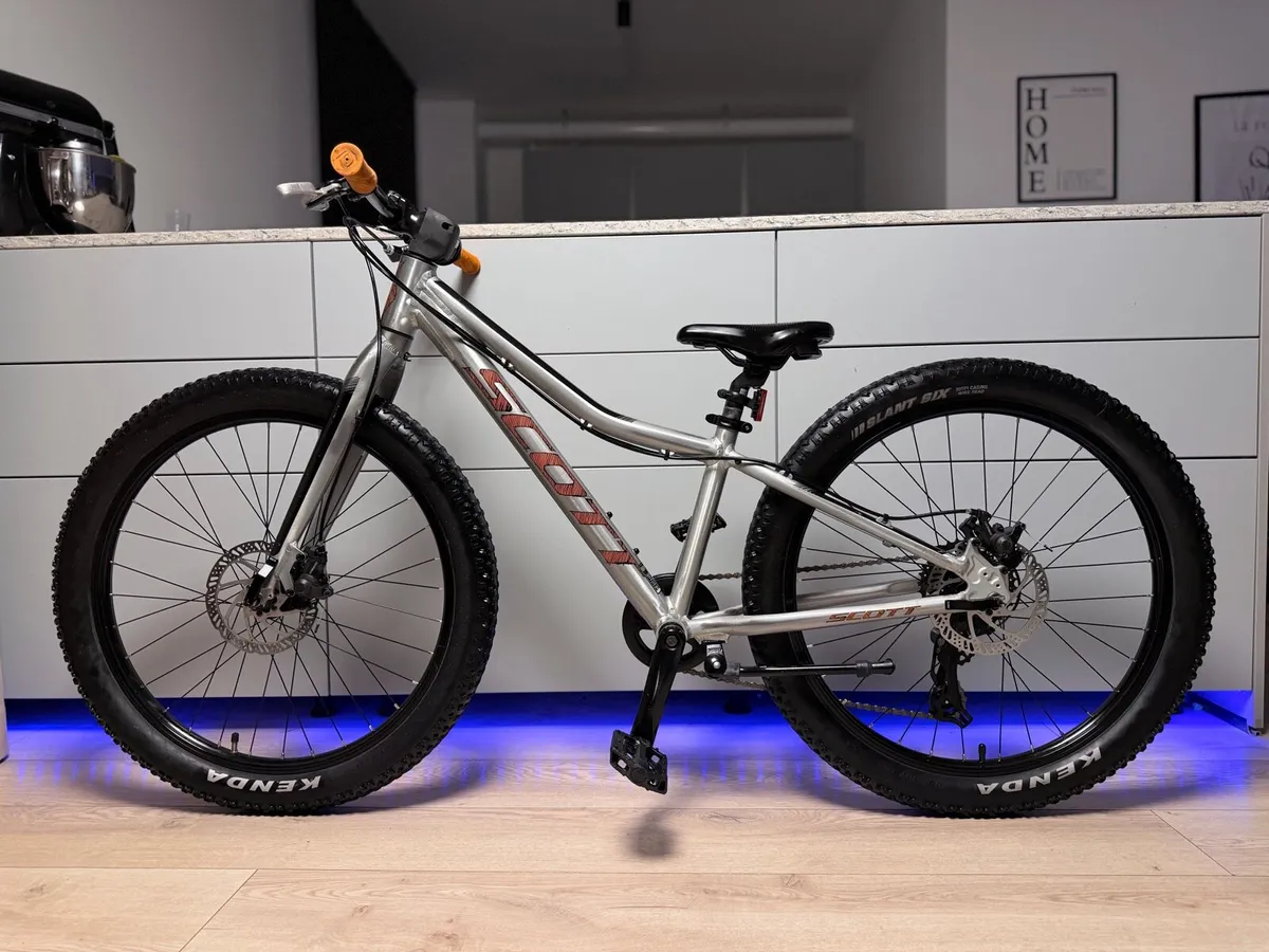 SCOTT Roxter Disc Junior Bike 24 inch - Image 2