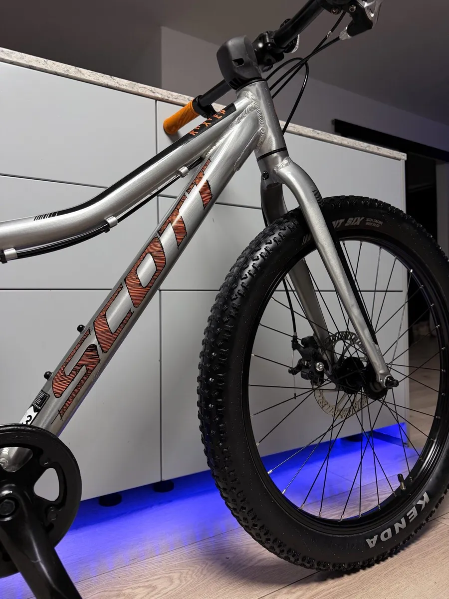 SCOTT Roxter Disc Junior Bike 24 inch - Image 3