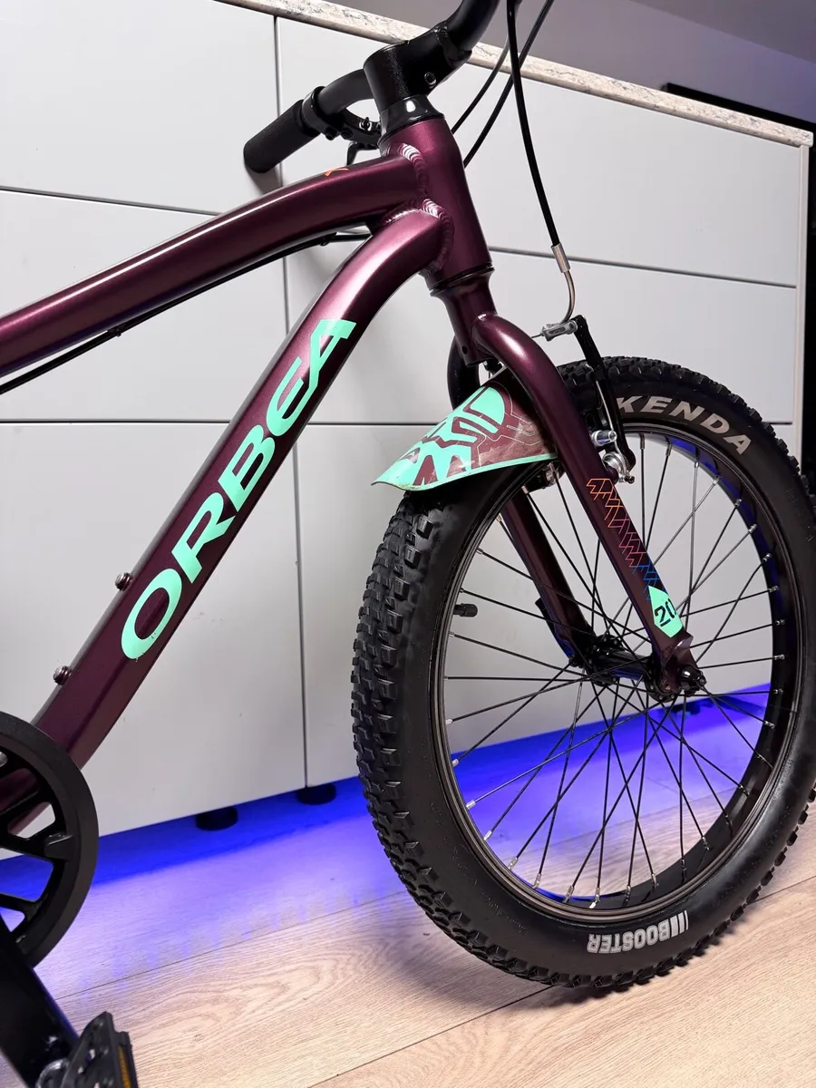ORBEA MX Dirt Kids Bike 20 inch - Image 3