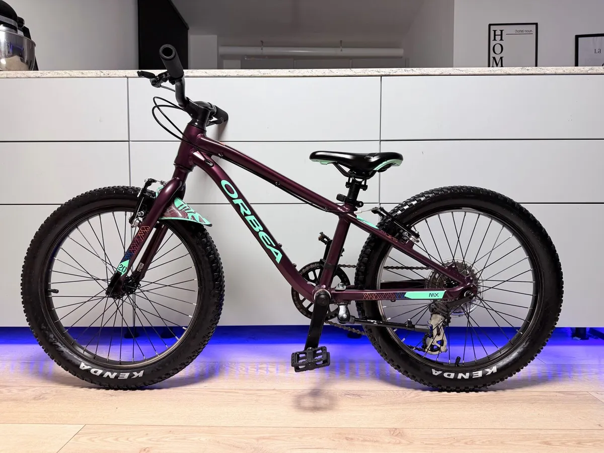 ORBEA MX Dirt Kids Bike 20 inch - Image 2