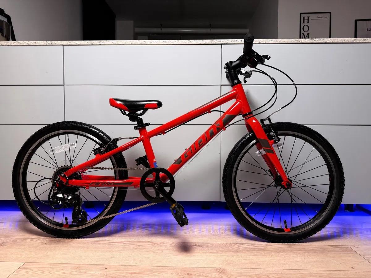 Giant ARX Kids Bike 20 inch - Image 1