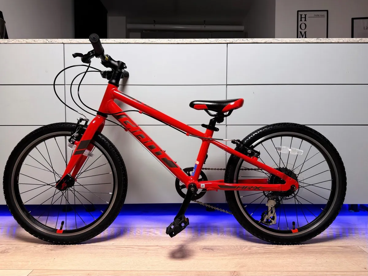 Giant ARX Kids Bike 20 inch - Image 2