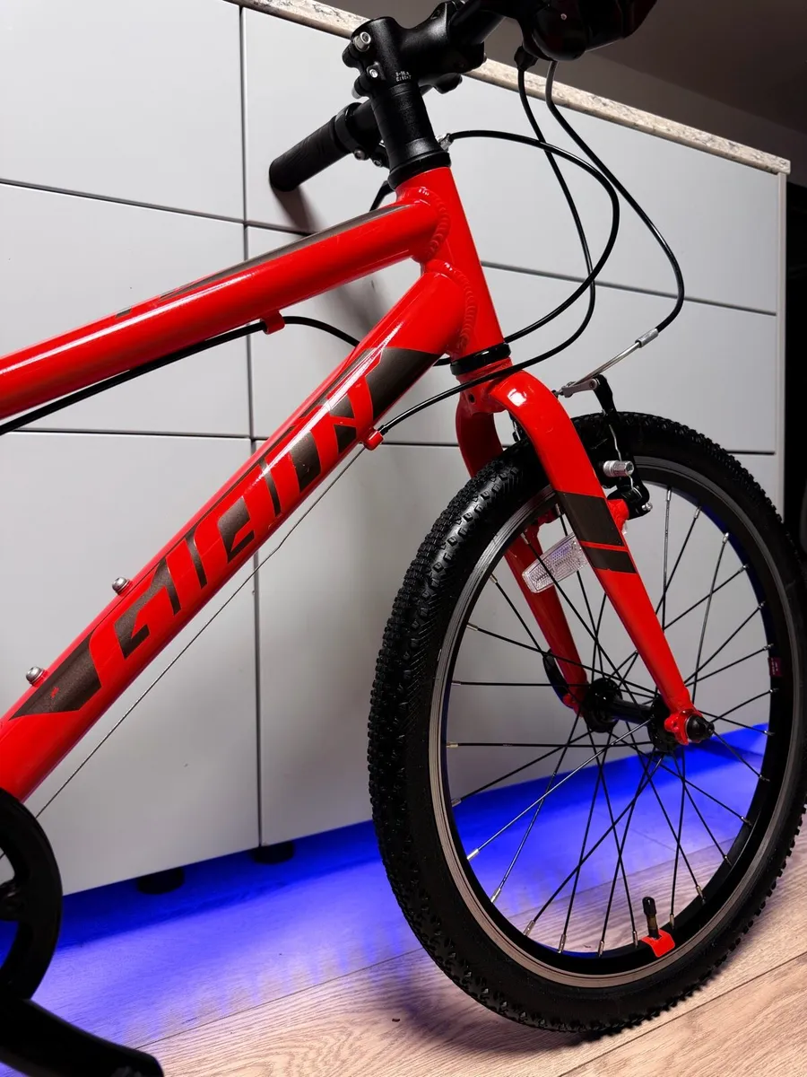 Giant ARX Kids Bike 20 inch - Image 3
