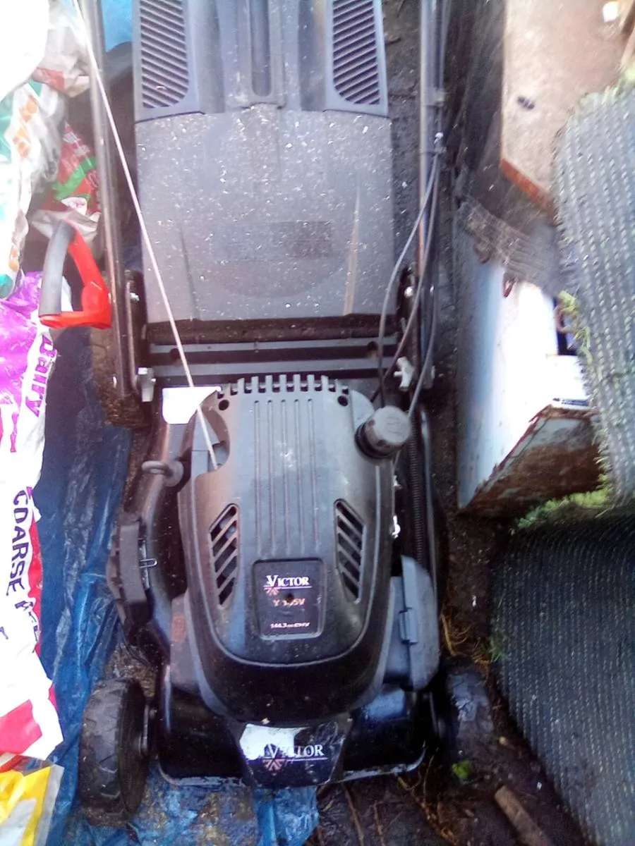 Lawnmower - Image 1