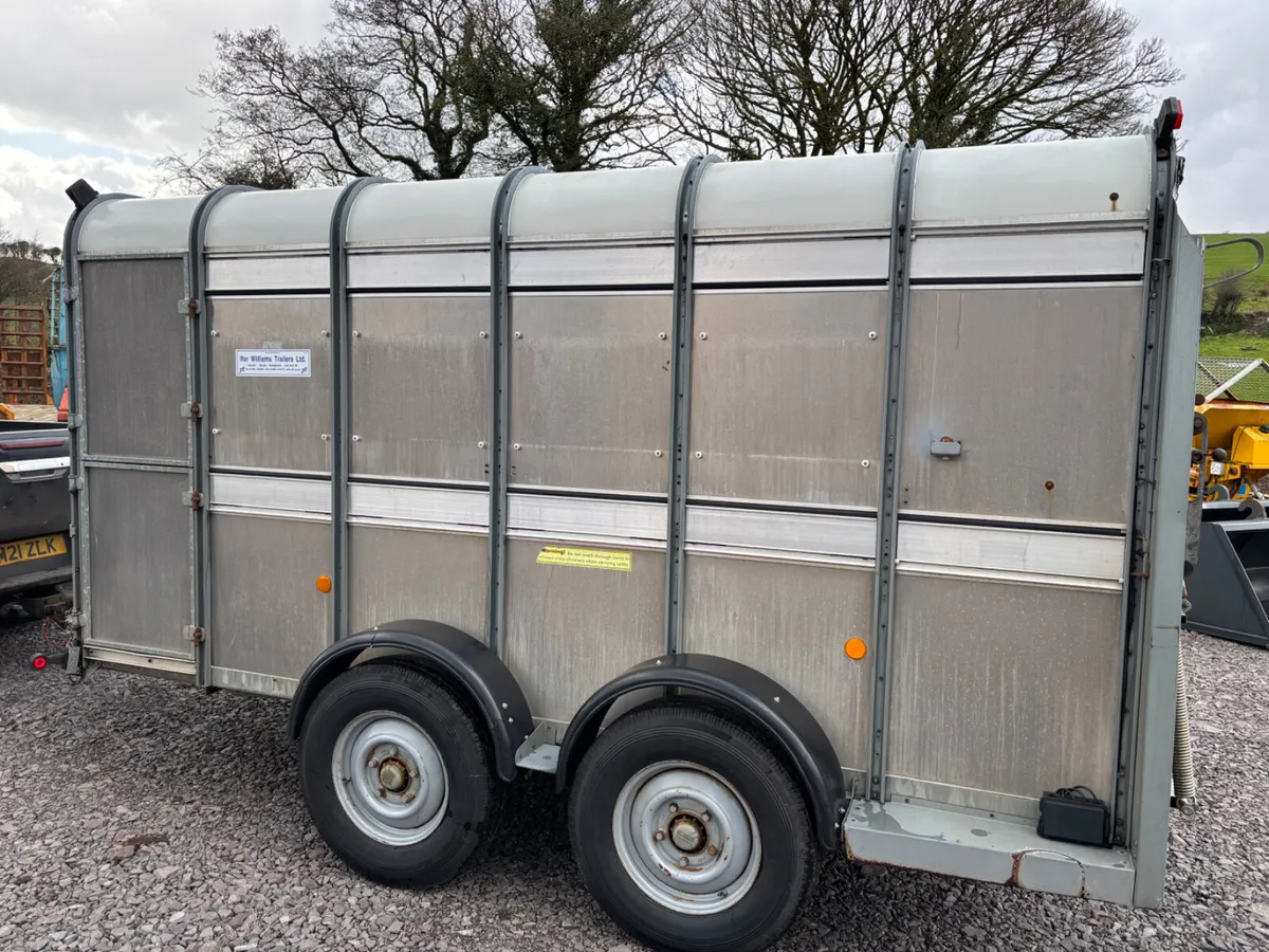 Ifor williams 12ft x 5ft 10” cattle  trailer - Image 2