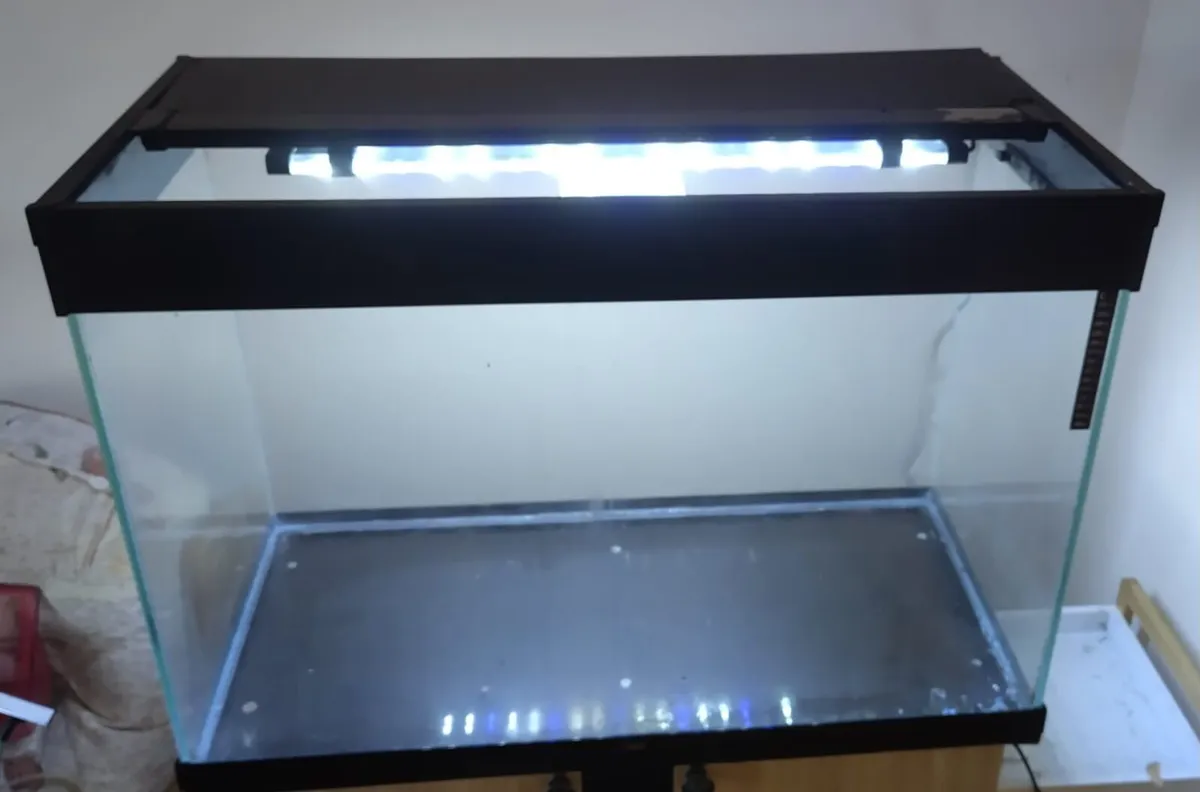 Fish tank,Cabinet plus Accessories - Image 3