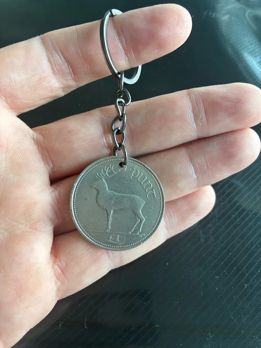 Irish pound key ring - Image 3