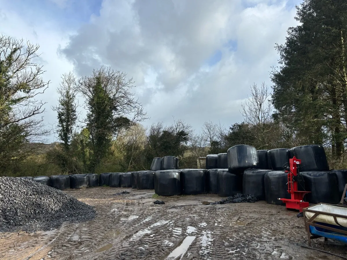 Top quality silage - Image 3