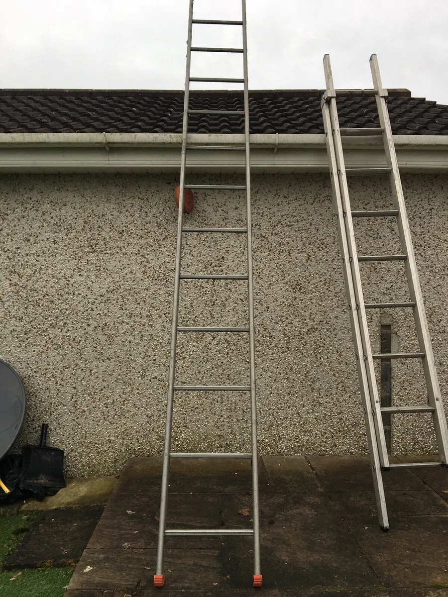 Ladders - Image 3