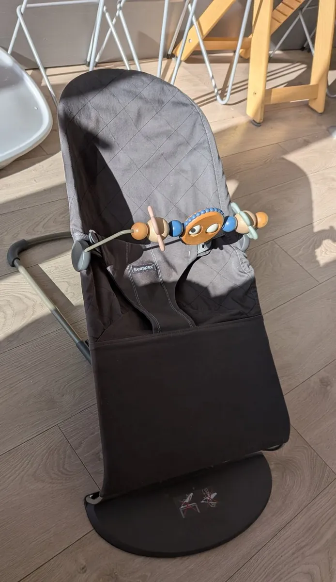 Baby Bjorn bouncer
