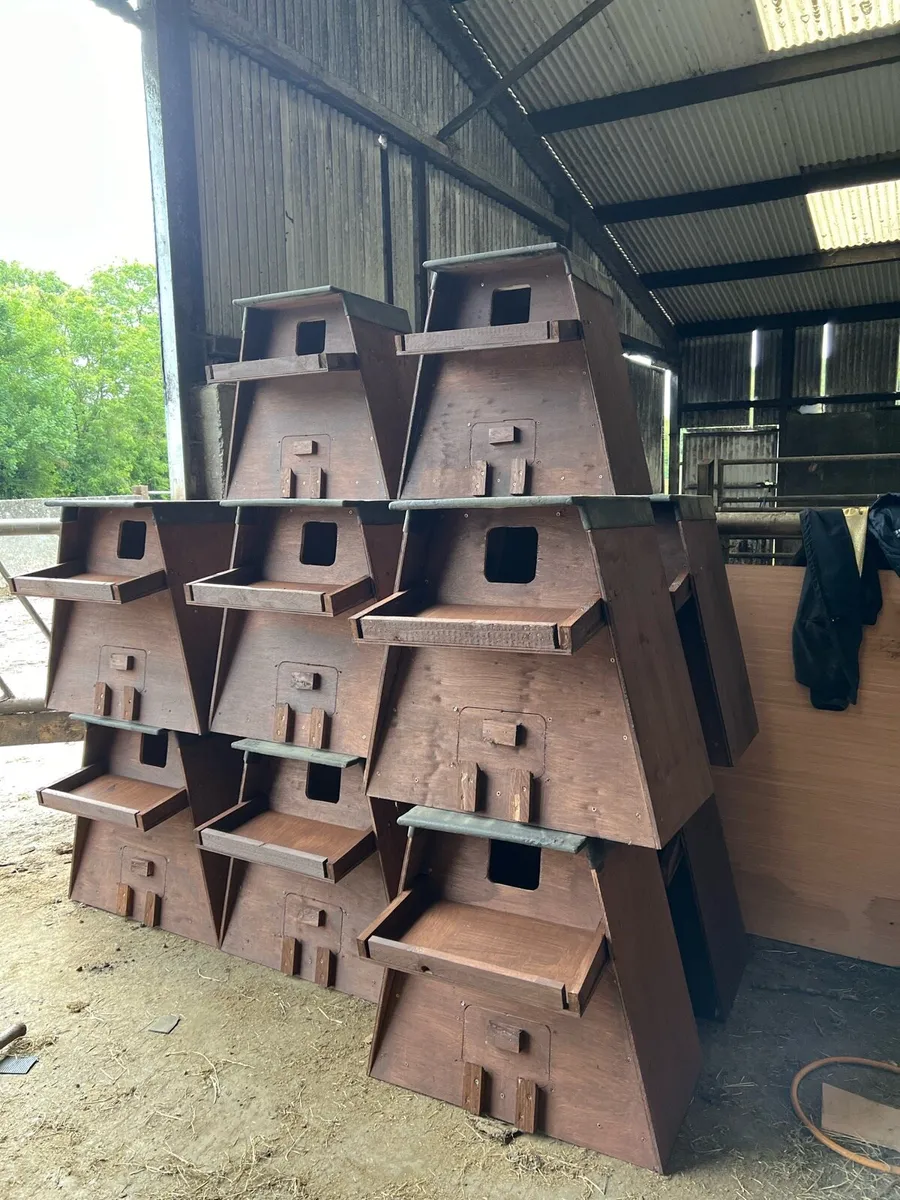 Owl boxes and bat boxes - Image 3