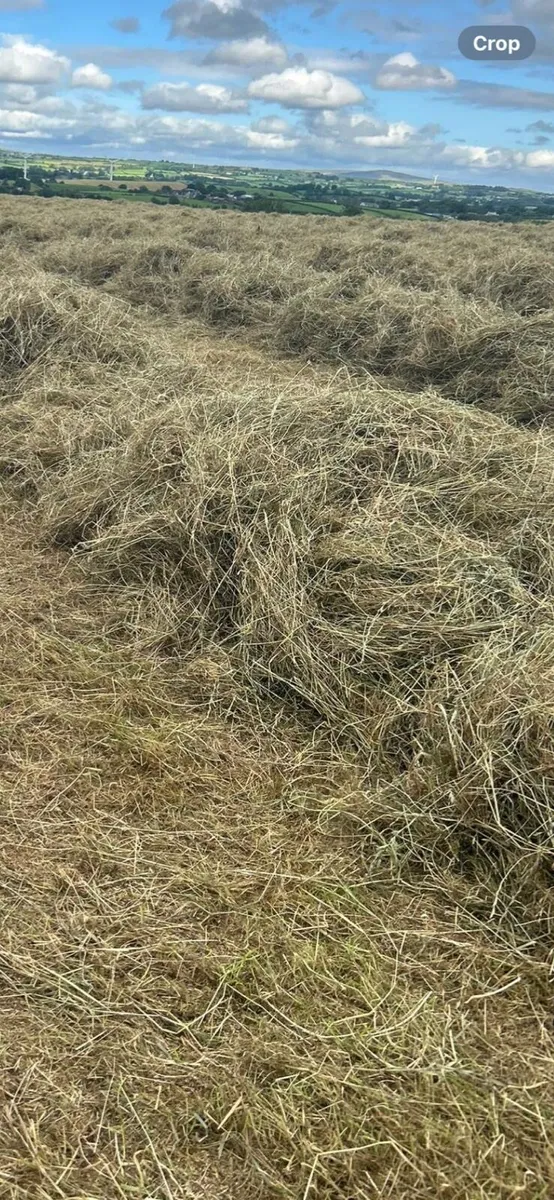 Haylage