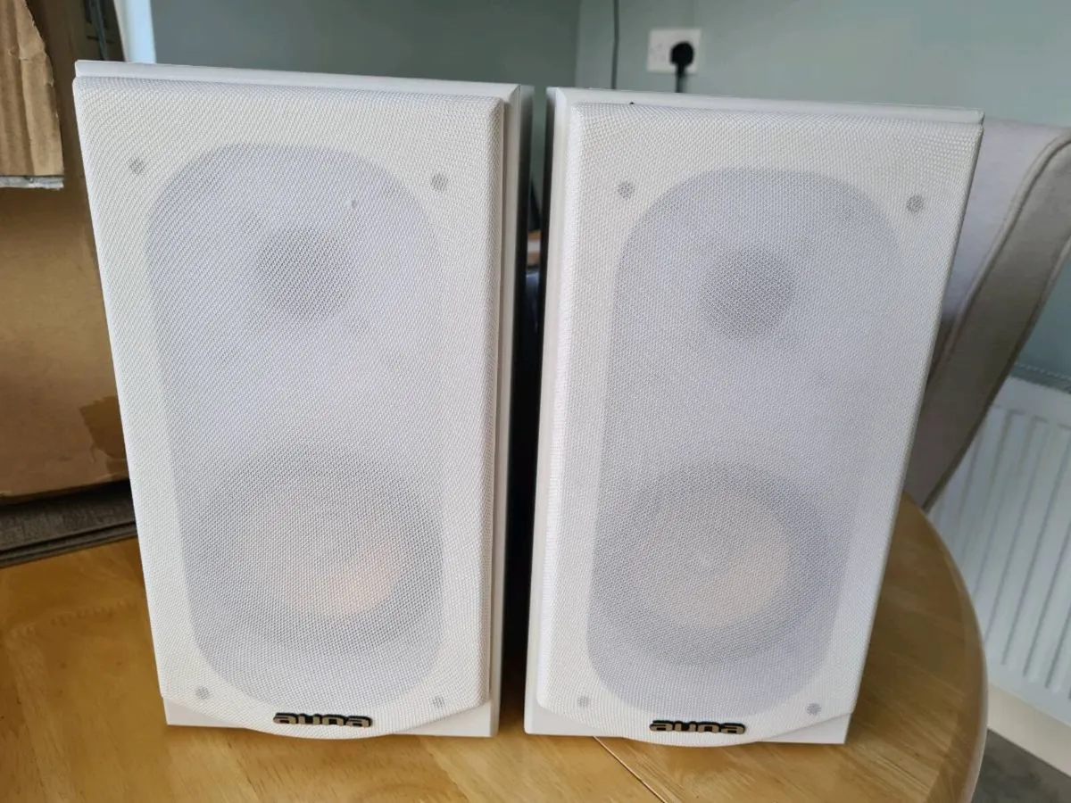 Speakers  100 watt - Image 1