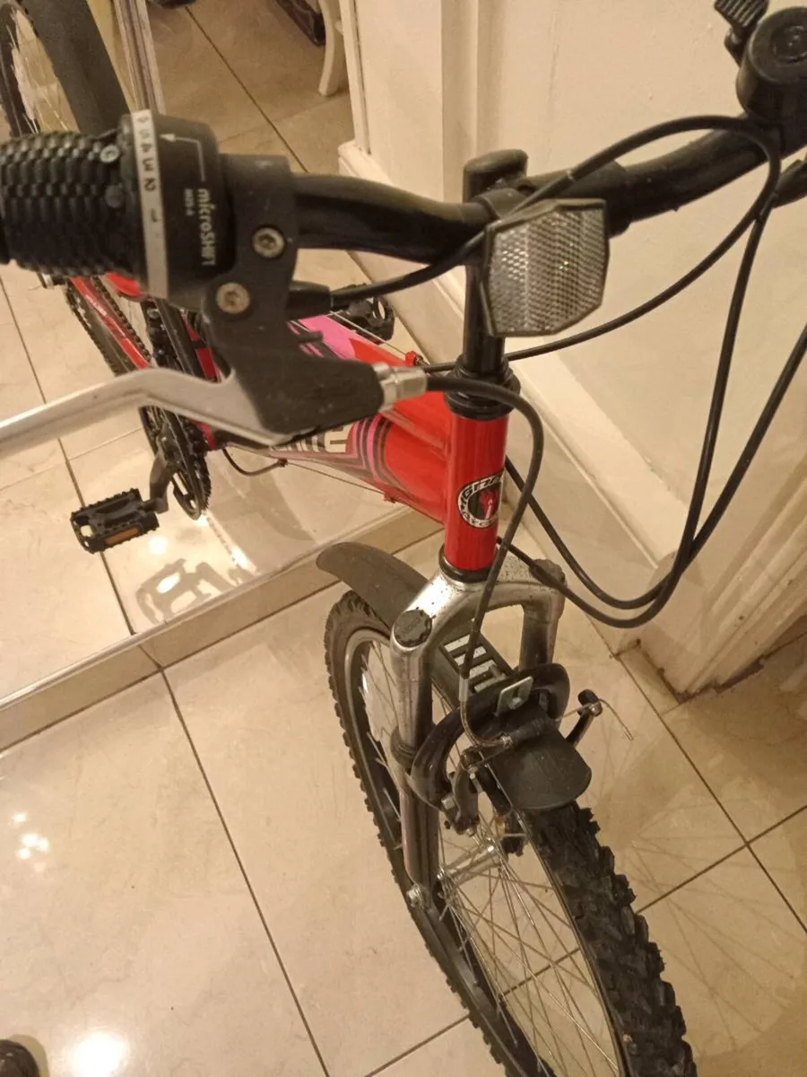 Ladies bicycle - Image 2