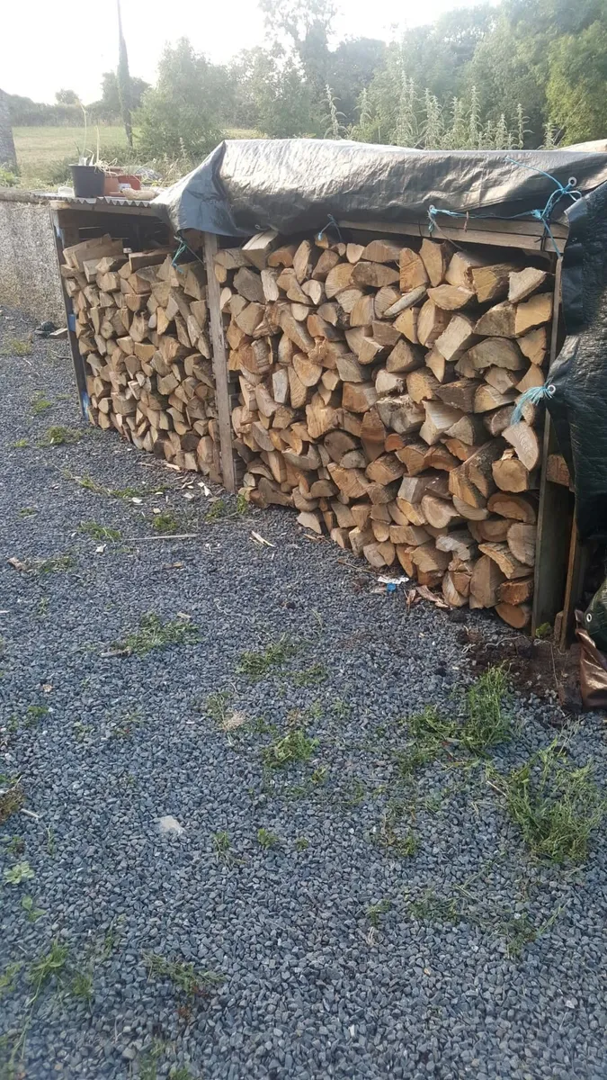 Ash Firewood