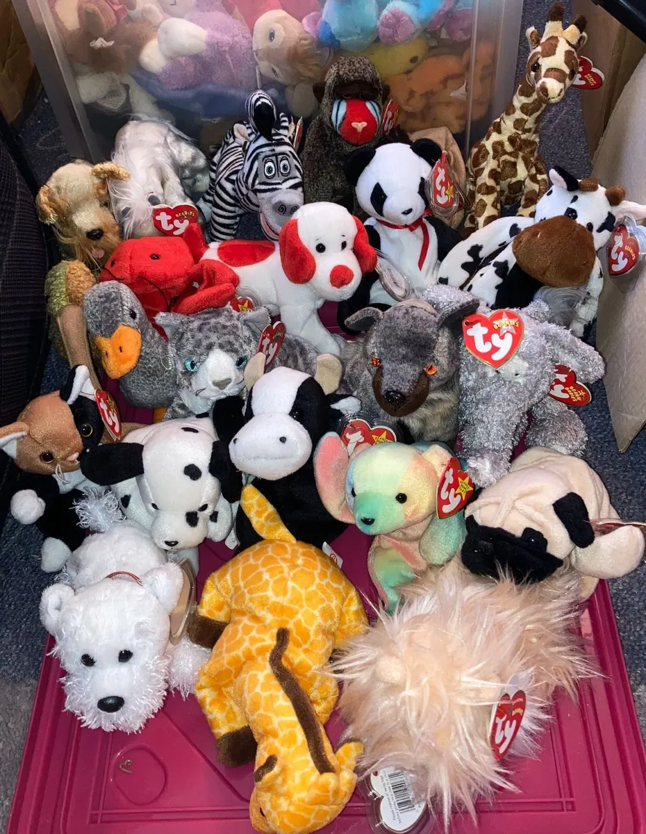 TY Beanies - Image 4