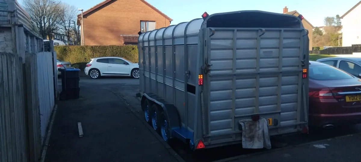 Iforwilliams TA510 14x6 Cattle Trailer NO VAT 💥 - Image 4