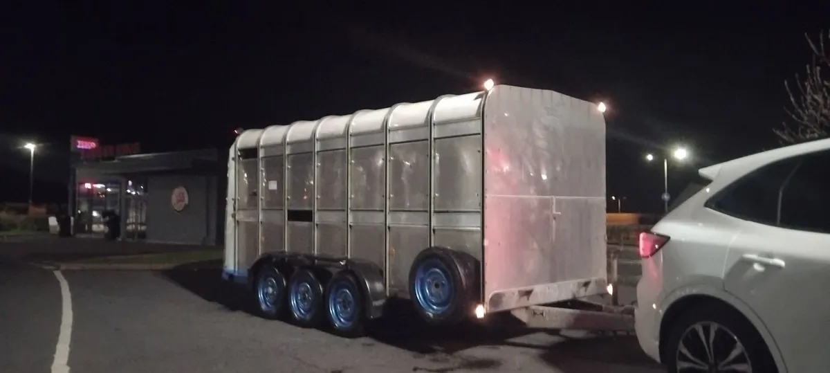 Iforwilliams TA510 14x6 Cattle Trailer NO VAT 💥 - Image 3