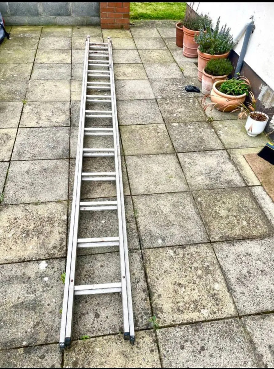 Double ladders