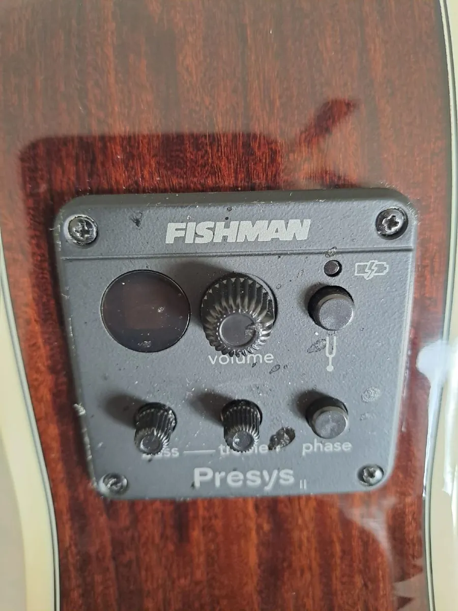 Guitar Washburn model EA20SNB-0 - Image 4