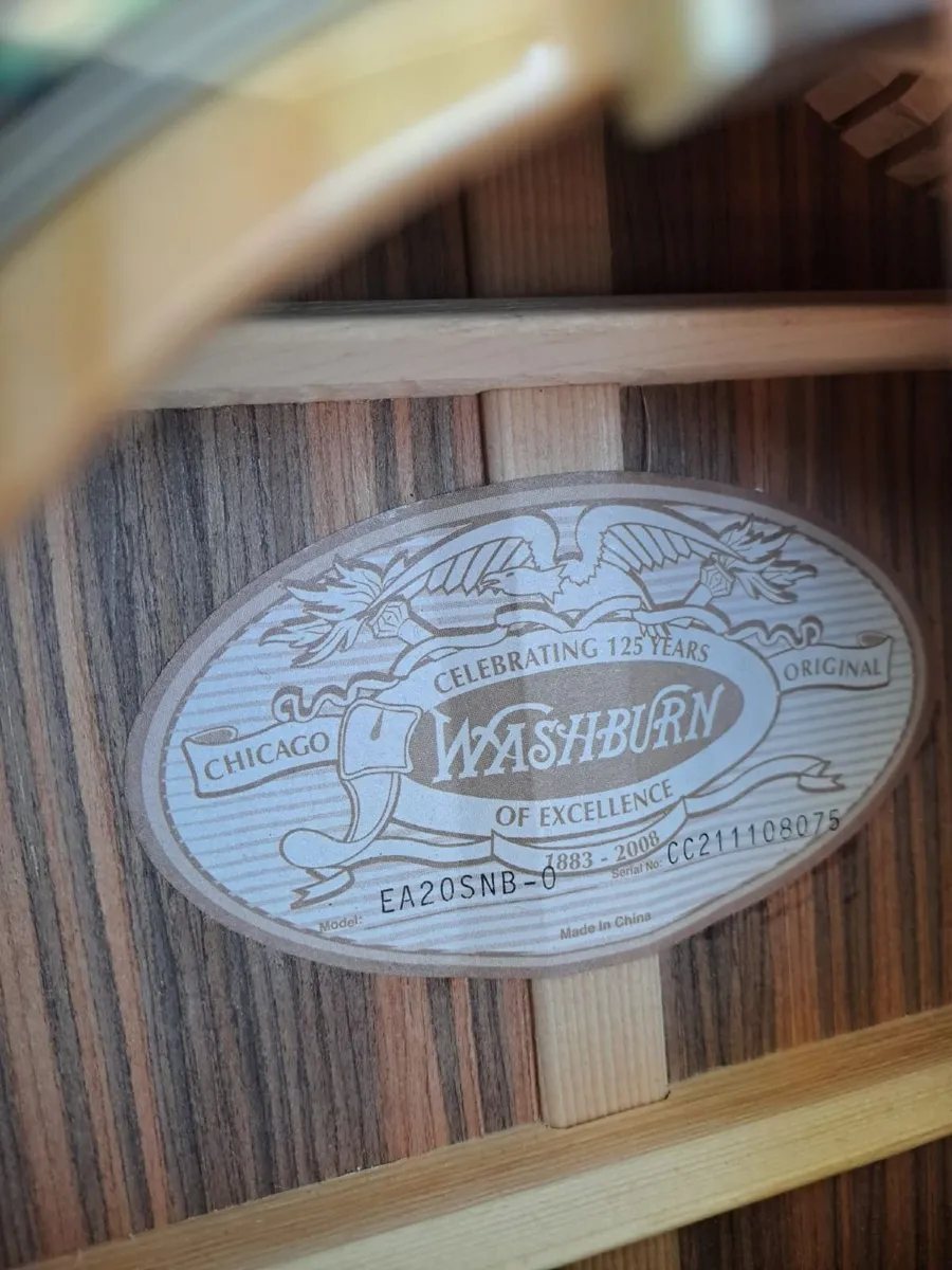Guitar Washburn model EA20SNB-0 - Image 3