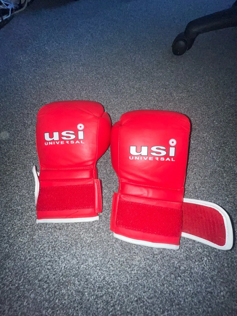 Boxing gloves - Image 1