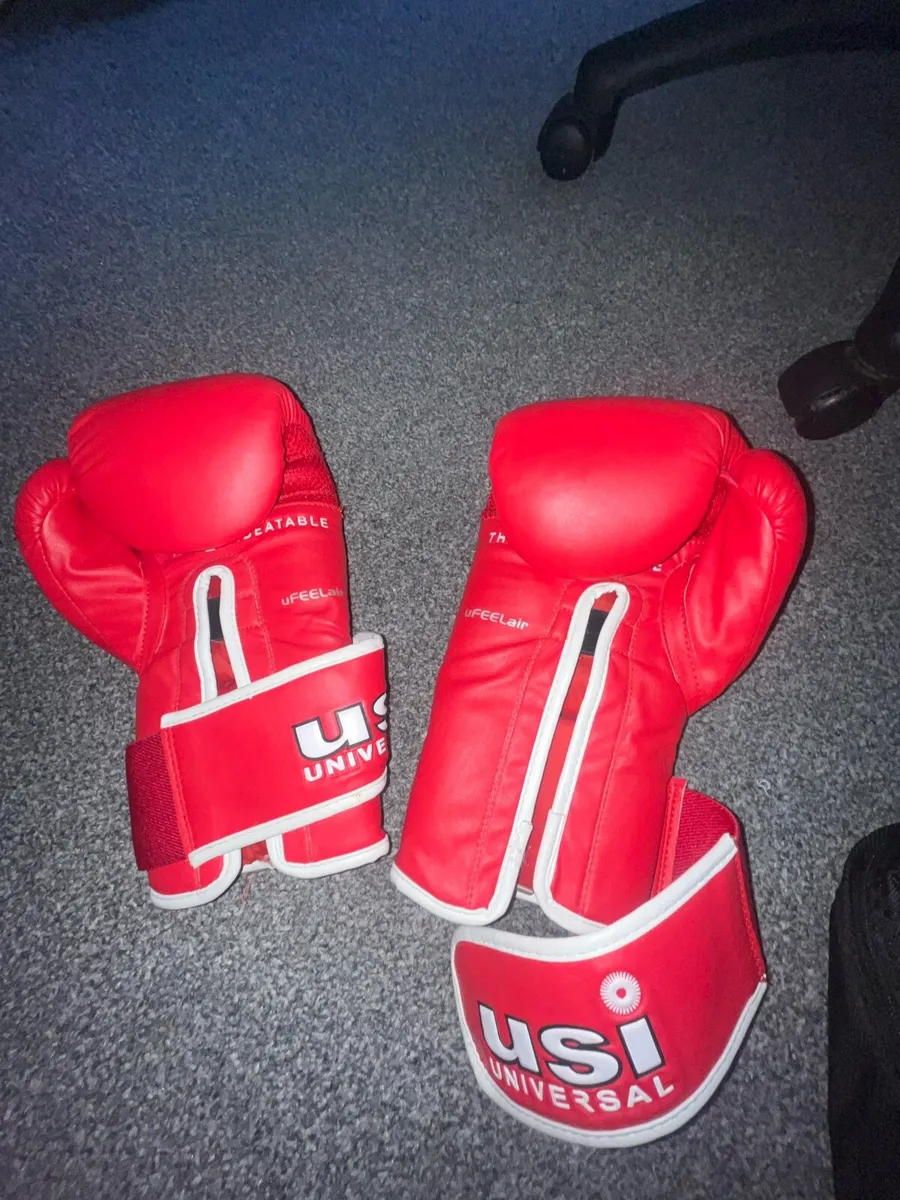 Boxing gloves - Image 2