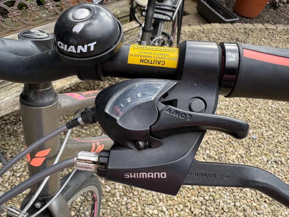 Women’s Bicycle - Image 2