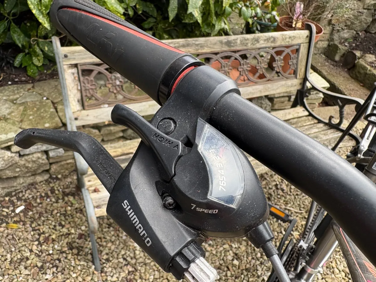 Women’s Bicycle - Image 3