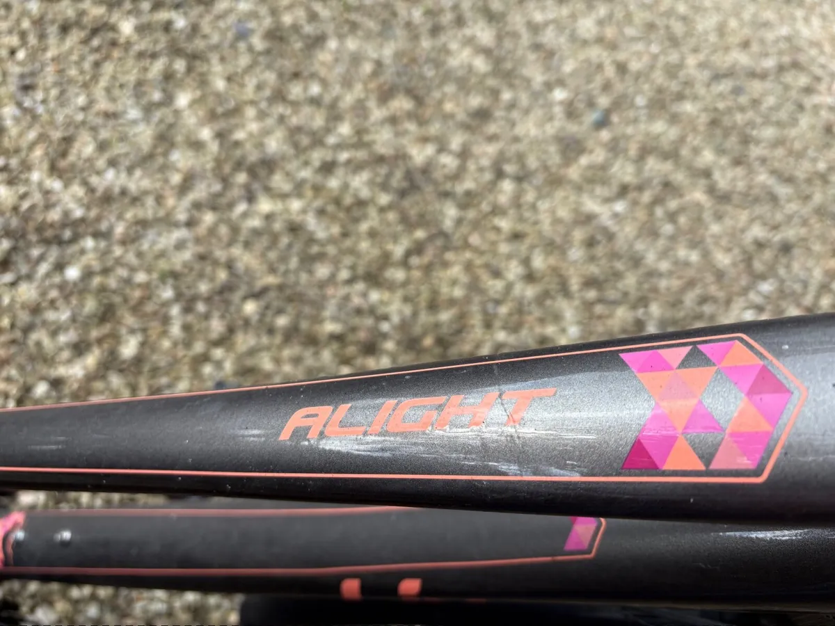 Women’s Bicycle - Image 4