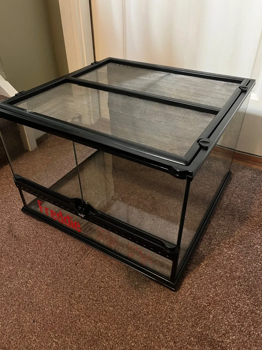 Leopard gecko tank - Image 1