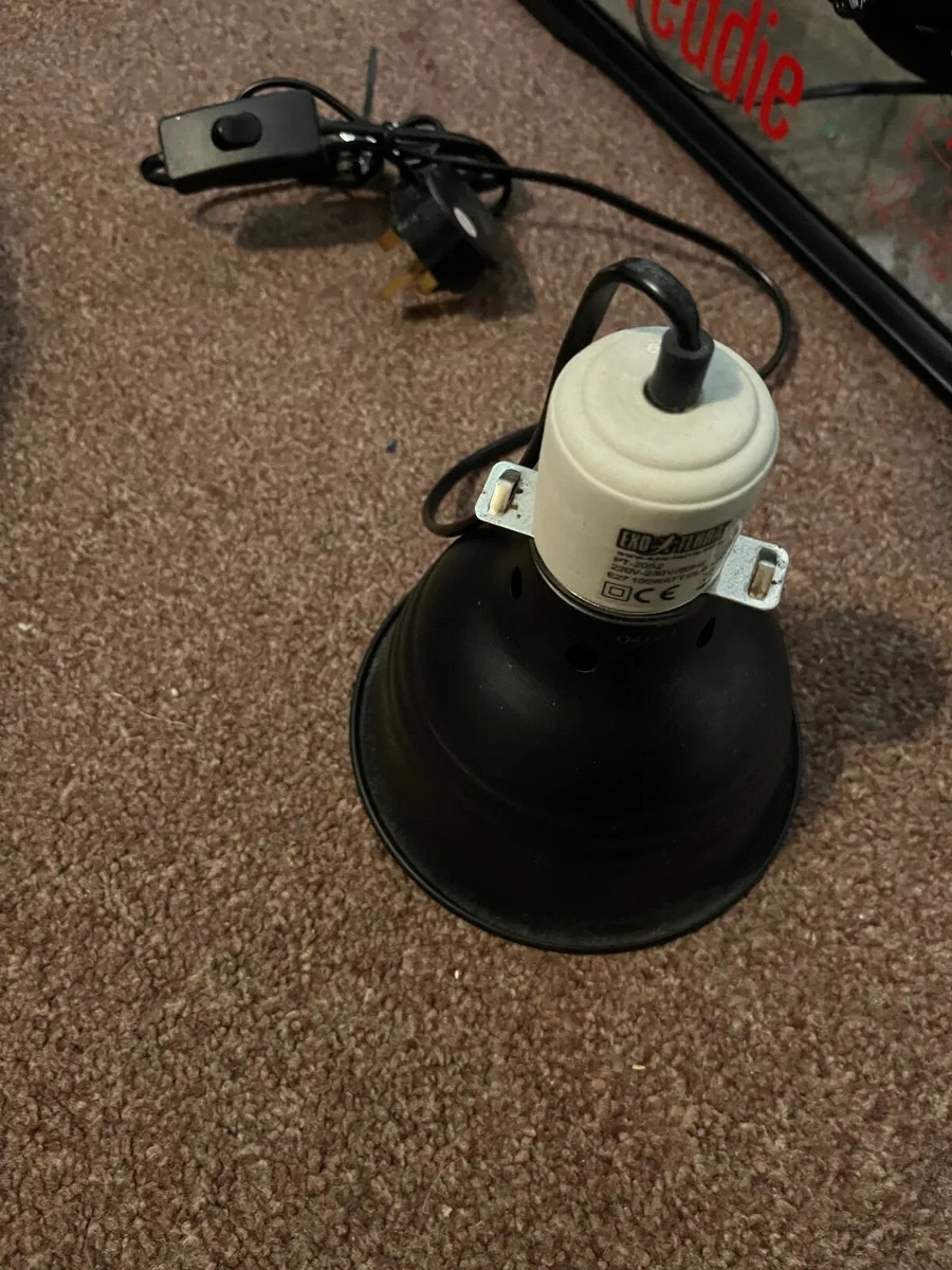 Leopard gecko tank - Image 2