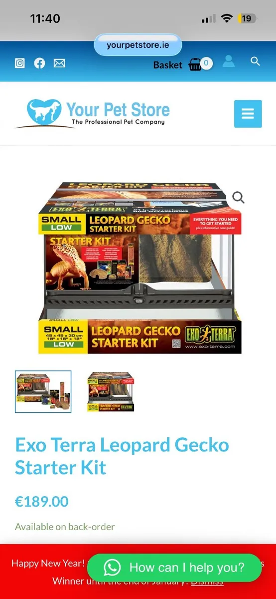 Leopard gecko tank - Image 4