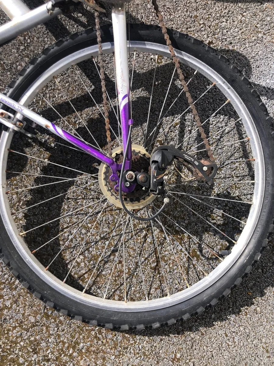 Lady’s bike - Image 3