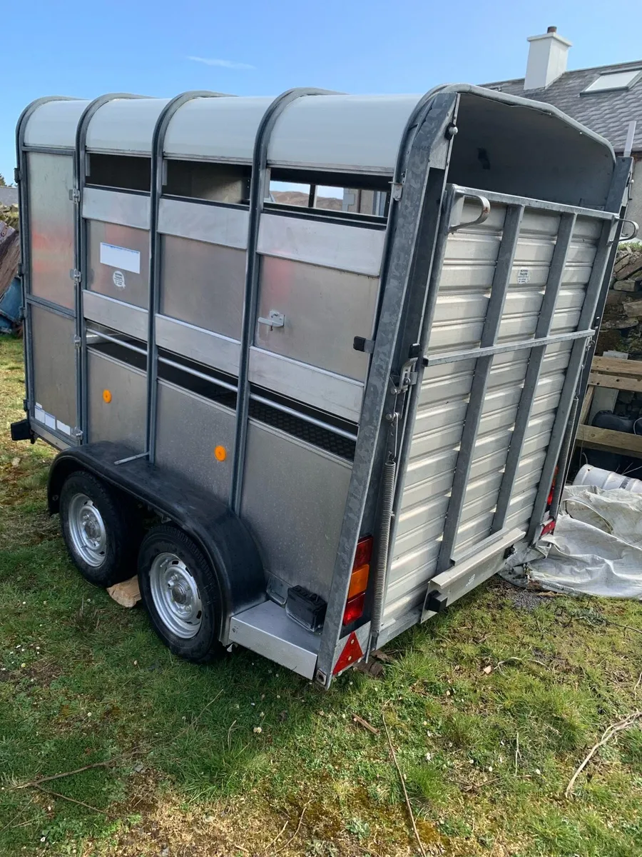 Ifor Williams - Image 2