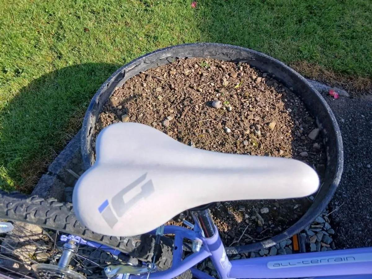 Girls Bike 26 inch - Image 3